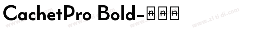 CachetPro Bold字体转换